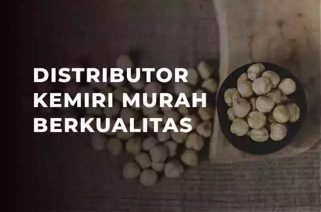 distributor kemiri indonesia
