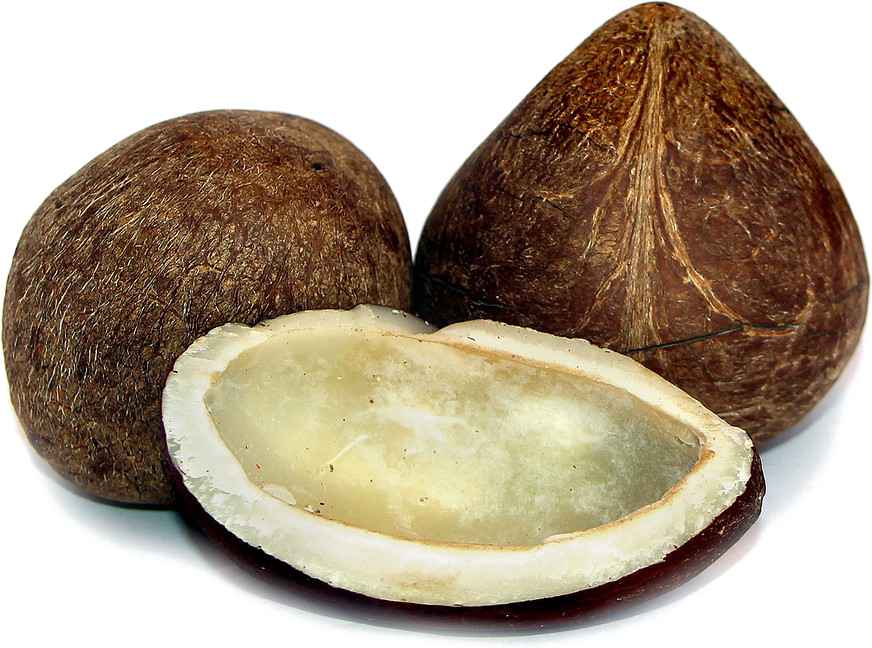 Kopra Berkualitas Untuk Dijual